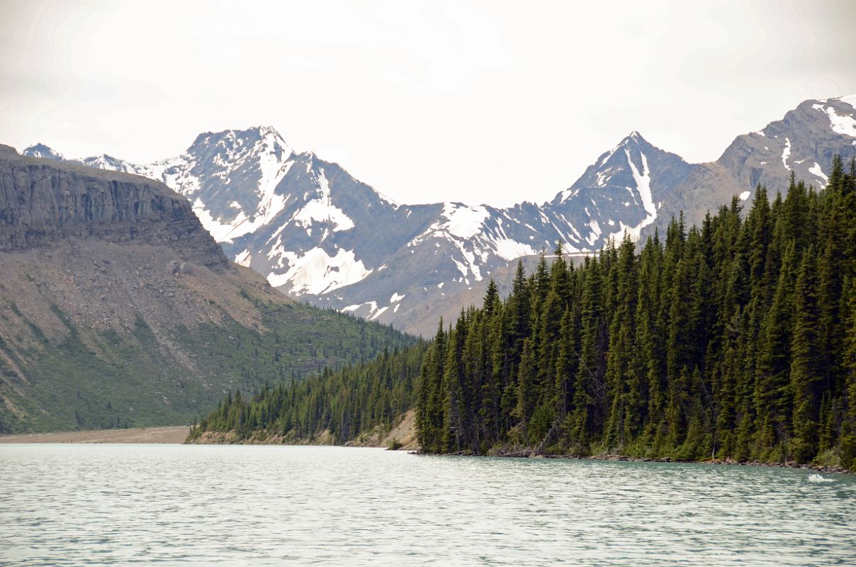 11 Cinnamon Peak From Berg Lake Trail At North End Of Berg Lake